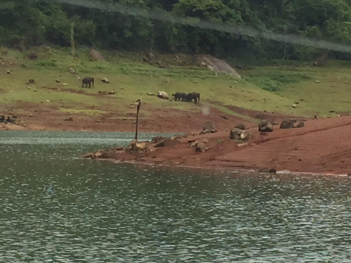 Kandamath Heritage Resort Kolattupuzha Eksteriør billede